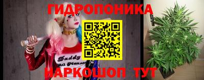 прущие крисы Анжеро-Судженск