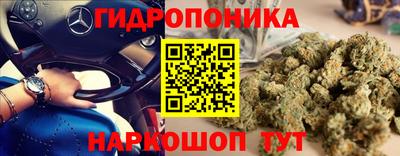 Альфа ПВП Анапа