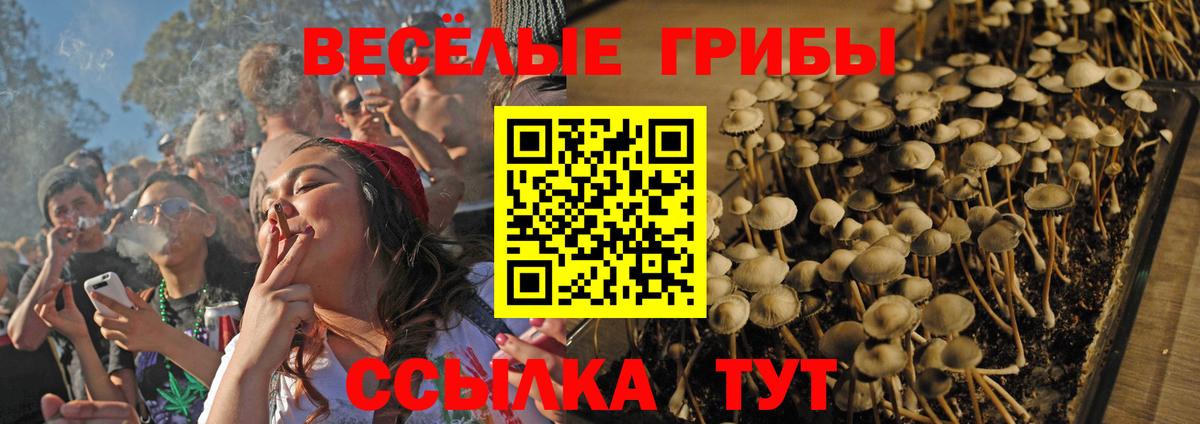Кувандык  Галлюциногенные грибы Cubensis  Вход с VPN  Псилоцибиновые грибы Magic Shrooms 