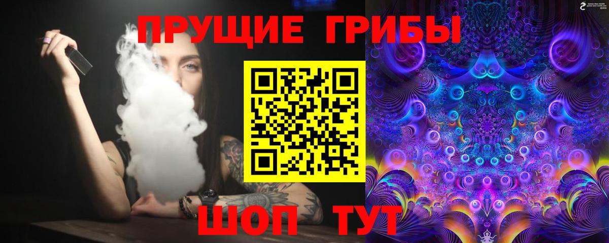 Псилоцибиновые грибы Cubensis Кувандык